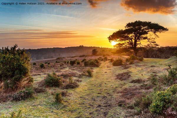 Dramatic sunset over the New Forest National Park Picture Board by Helen Hotson