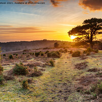 Buy canvas prints of Dramatic sunset over the New Forest National Park by Helen Hotson