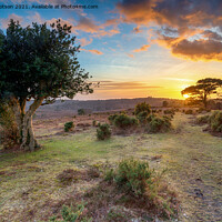 Buy canvas prints of Beautiful sunset in the New Forest at Bratley View by Helen Hotson