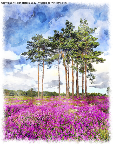Summer Heather and Pine Trees Picture Board by Helen Hotson