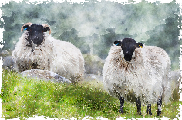 Sheep on the Moors Picture Board by Helen Hotson