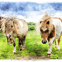 Buy canvas prints of Poinies on Bodmin Moor by Helen Hotson