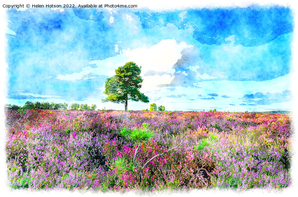 New Forest Heather Painting Picture Board by Helen Hotson