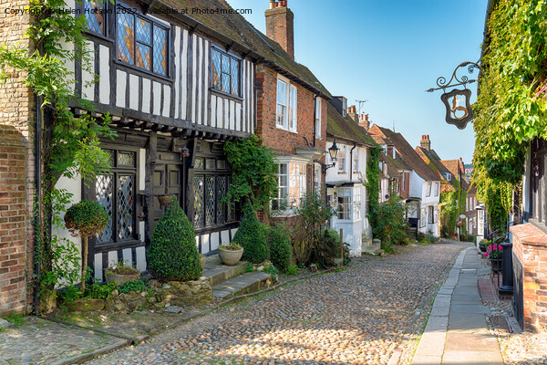 Tudor Houses on a Cobbled Street Picture Board by Helen Hotson