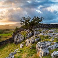 Buy canvas prints of Yorkshire Dales by Helen Hotson