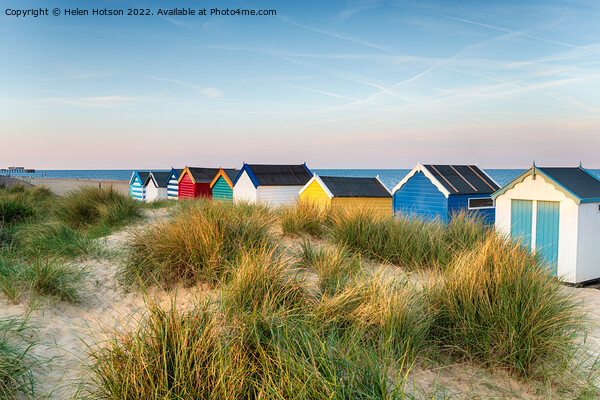 Beach huts in the sand dunes at Southwold  Picture Board by Helen Hotson