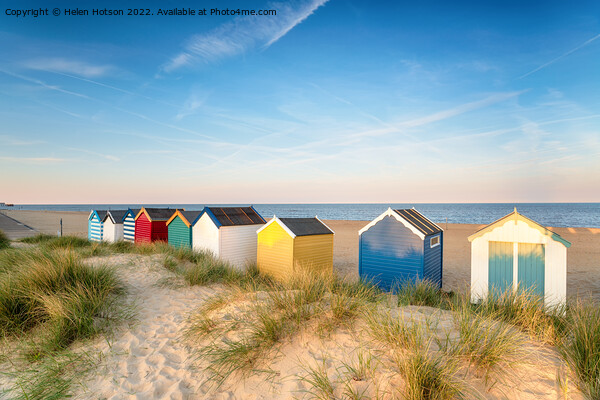 Beach huts in sand dunes at Southwold  Picture Board by Helen Hotson