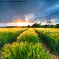 Buy canvas prints of Dramatic Sunset over Barley Fields by Helen Hotson