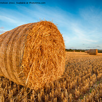 Buy canvas prints of Hay Bales by Helen Hotson