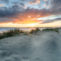 Buy canvas prints of Sand Dunes at West Wittering by Helen Hotson