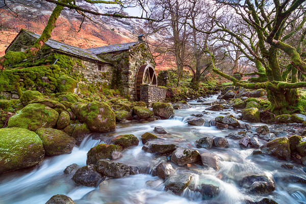 An ancient water mill on the banks of Combe Gill  Picture Board by Helen Hotson