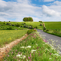 Buy canvas prints of The white horse on Hackpen Hill in Wiltshire by Helen Hotson