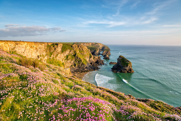 Cornish Cliffs in Summer Picture Board by Helen Hotson