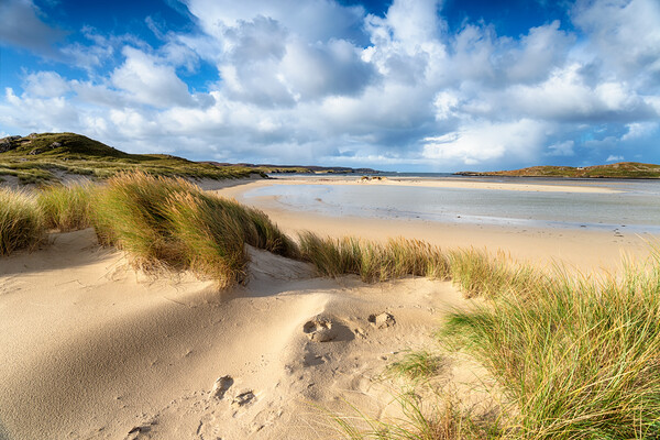 Ardroil Beach on the Isle of Lewis Picture Board by Helen Hotson