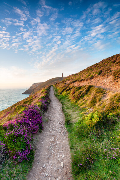 Summer on the Cornish Coast Picture Board by Helen Hotson