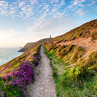 Buy canvas prints of Summer on the Cornish Coast by Helen Hotson