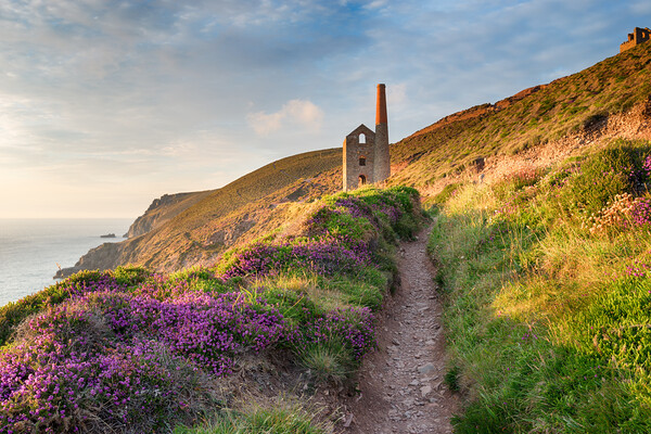 Summer on the Coast Path Picture Board by Helen Hotson