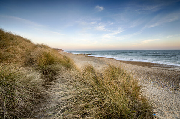 Sand Dunes at Hengistbury Head Picture Board by Helen Hotson