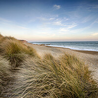 Buy canvas prints of Sand Dunes at Hengistbury Head by Helen Hotson