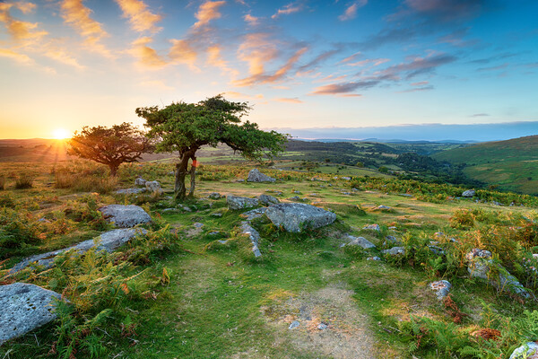 Dartmoor National Park Picture Board by Helen Hotson