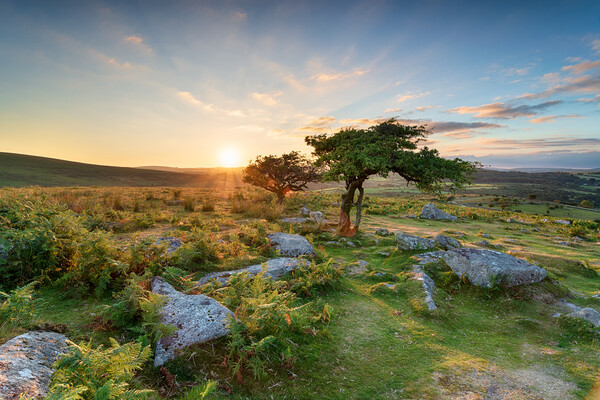 Sunset at Combestone on Dartmoor Picture Board by Helen Hotson
