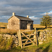 Buy canvas prints of Cottage on the Moor by Helen Hotson