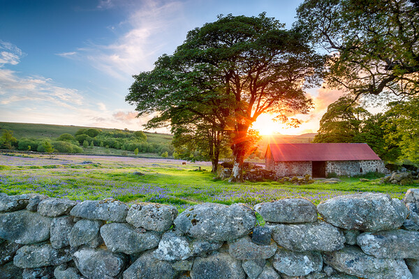 Sunset over Emsworthy Barn Picture Board by Helen Hotson