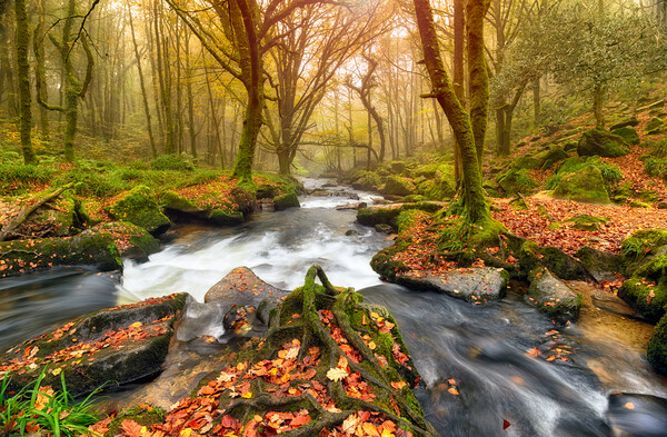 Autum Forest River Picture Board by Helen Hotson