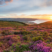 Buy canvas prints of Sunset at Bossington Hill in Somerset by Helen Hotson