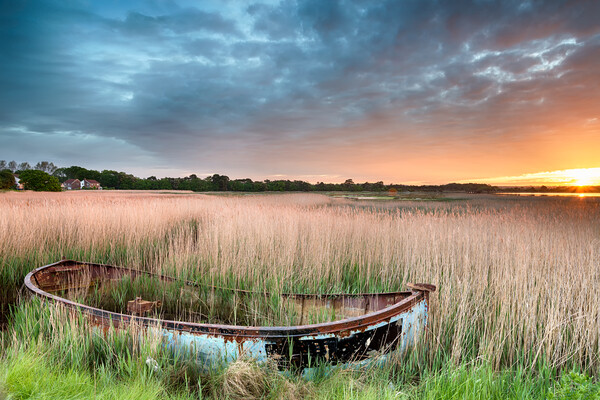 Boat in the Reeds Picture Board by Helen Hotson