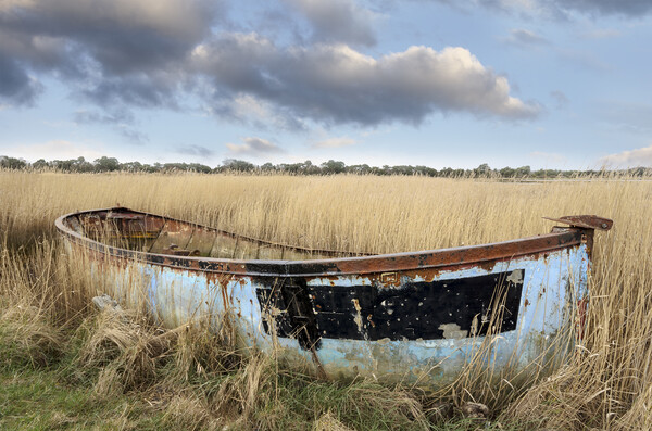 Shipwrecked Boat Picture Board by Helen Hotson