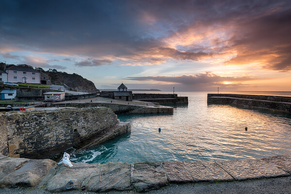 Sunrise at historic Charlestown harbour on the Cornwall coast near St Austell Picture Board by Helen Hotson