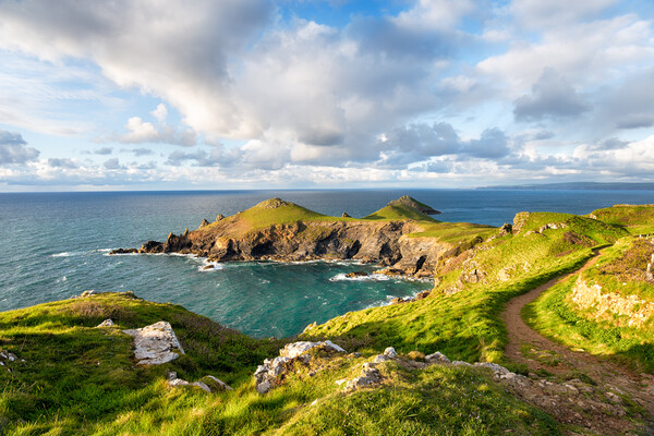 The Rumps on the Cornish Coast Picture Board by Helen Hotson
