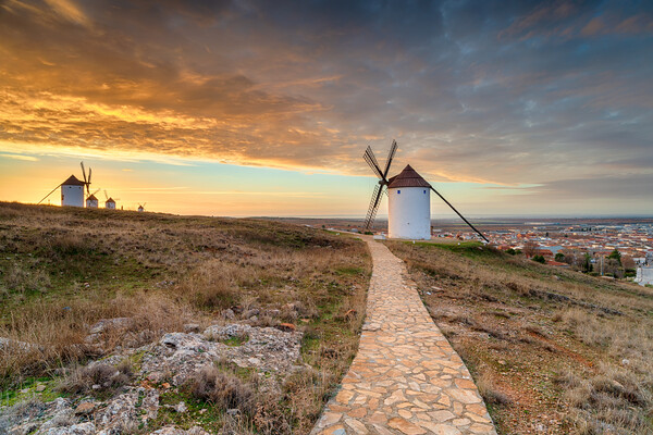 Beautiful sunrise over the Manchegos windmills Picture Board by Helen Hotson