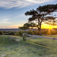 Buy canvas prints of Sunset at Bratley View in the New Forest by Helen Hotson