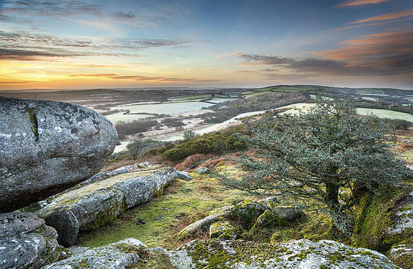 Frosty Morning at Helman Tor in Cornwall Picture Board by Helen Hotson