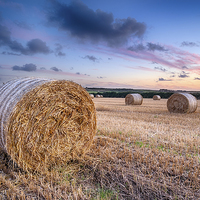 Buy canvas prints of Harvest Sunset by Helen Hotson