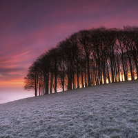 Buy canvas prints of Fiery Sunrise Over Those Trees by Helen Hotson