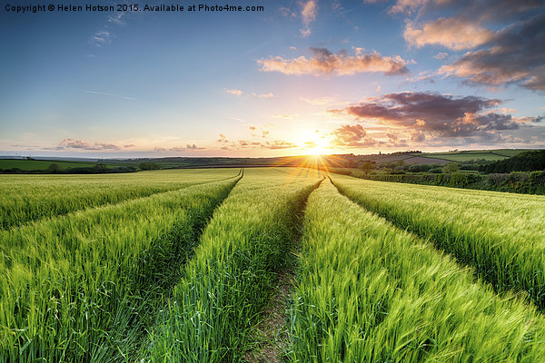 Cornish Sunset over Farmland Picture Board by Helen Hotson
