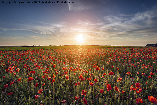 Sunset over Poppy Field Picture Board by Helen Hotson