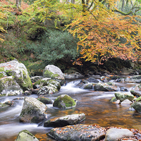 Buy canvas prints of The River Plym at Dewerstone by Helen Hotson