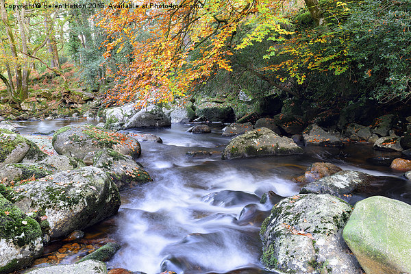 Autumn Colour on Dartmoor Picture Board by Helen Hotson