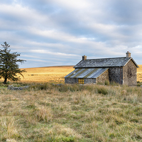 Buy canvas prints of Lonely Cottage on the Moors by Helen Hotson