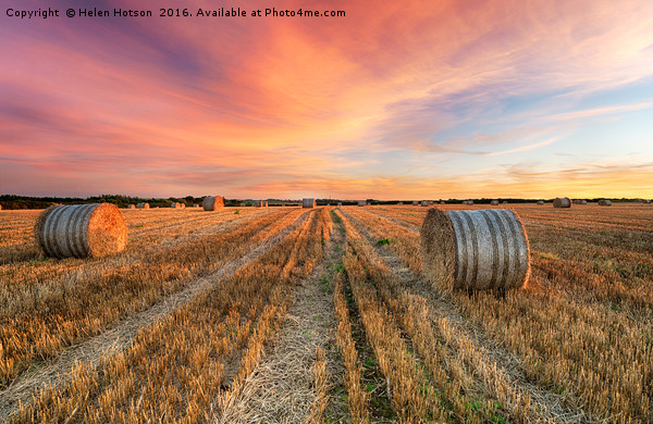 Hay Bales at Sunset Picture Board by Helen Hotson