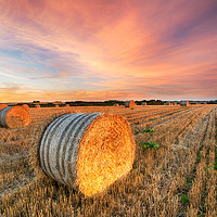 Buy canvas prints of Harvest Sunset in Cornwall by Helen Hotson