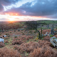 Buy canvas prints of Caradon Hill in Cornwall by Helen Hotson
