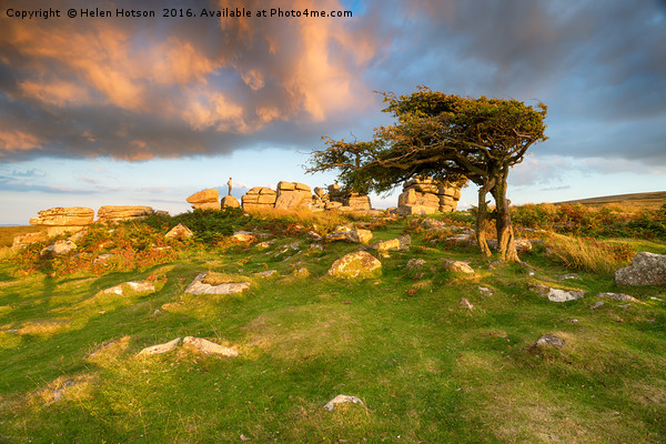 Evening Light at Combestone Tor Picture Board by Helen Hotson