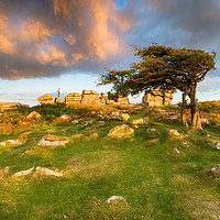 Buy canvas prints of Evening Light at Combestone Tor by Helen Hotson
