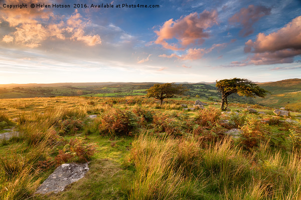 Dartmoor National Park Picture Board by Helen Hotson