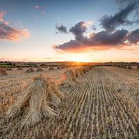 Buy canvas prints of Harvest Sunset by Helen Hotson